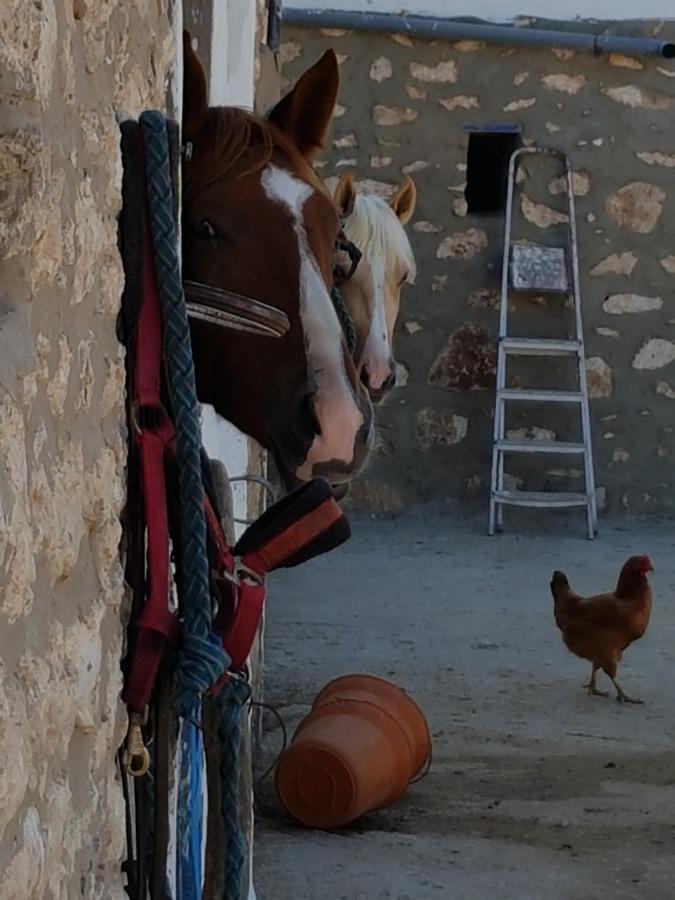 Апартаменты Ranch De Sidi Kaouki Эс-Сувейра Экстерьер фото